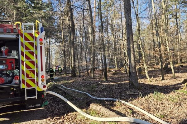 FW Pforzheim: Waldbrand im Bereich Hagenschieß – Eichwald