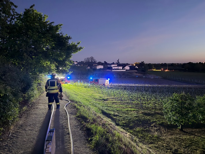 FW Weinheim: Feuer im Weinberg – Weinheimer Feuerwehr stoppt Flammen im Abendrot
